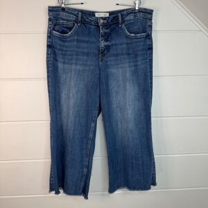 Lovervet by Vervet MoCo Jeans Size 32 High Waist Wide Leg Frayed Hem